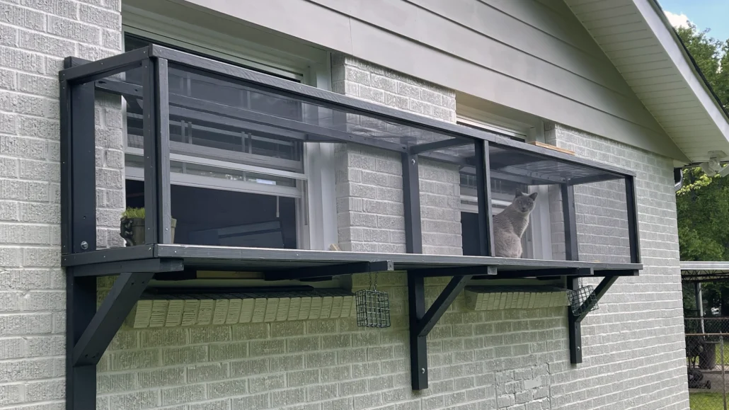 12ft Outdoor Two Window Catio Build