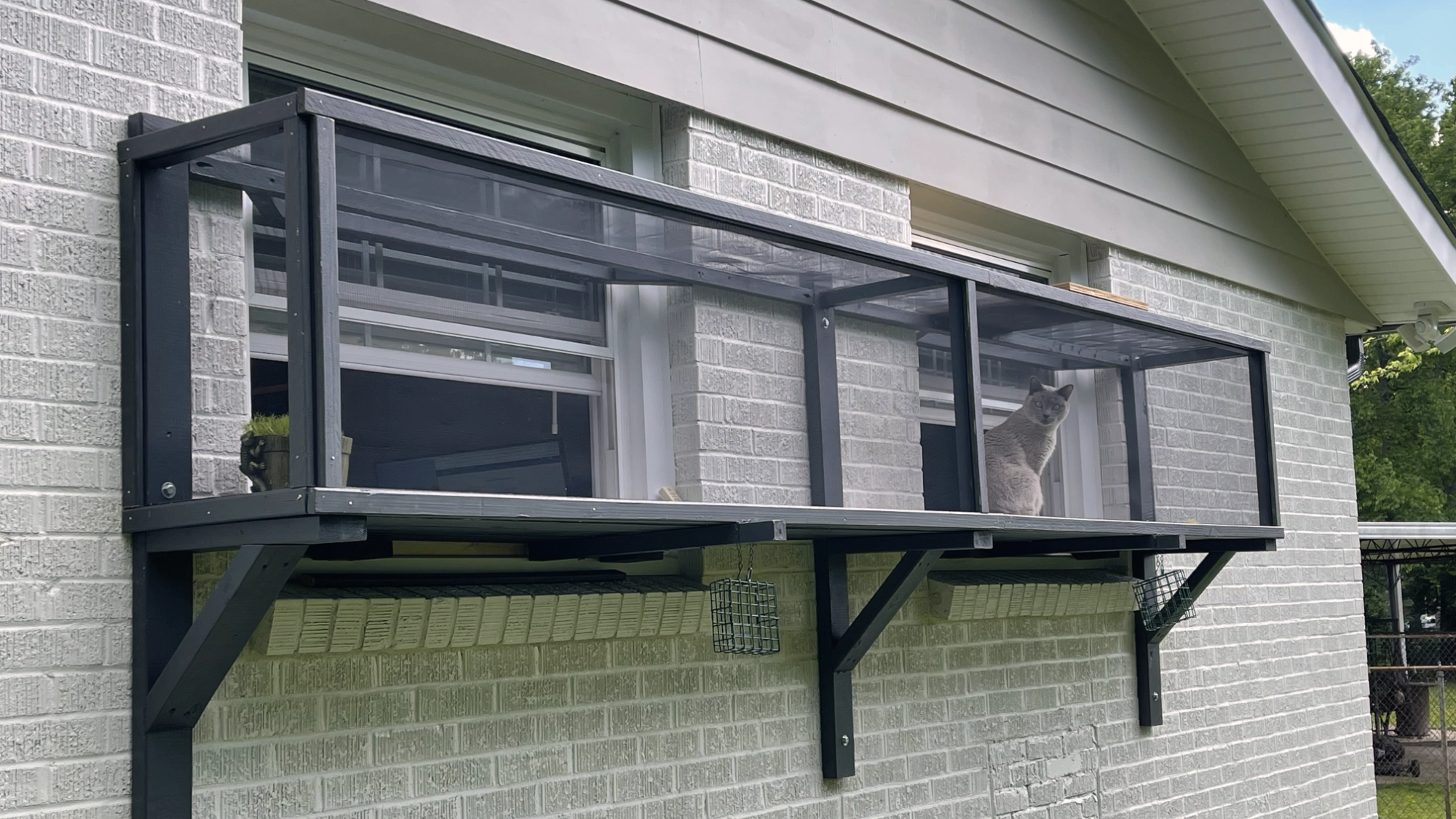 12ft Outdoor Two Window Catio Build