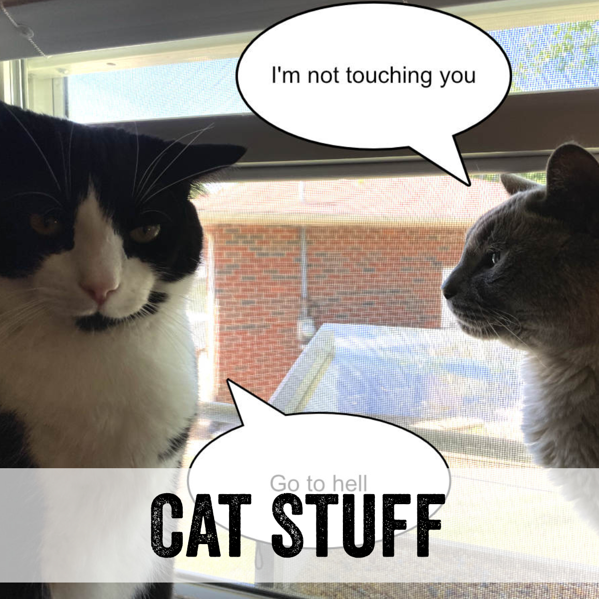Cat Stuff