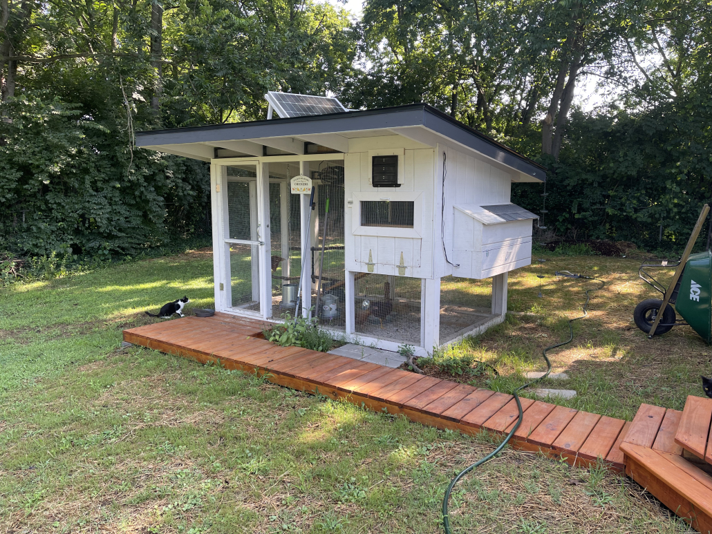 Custom Build Chicken Coop & Plans