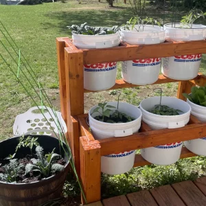 5 Gallon Bucket Garden