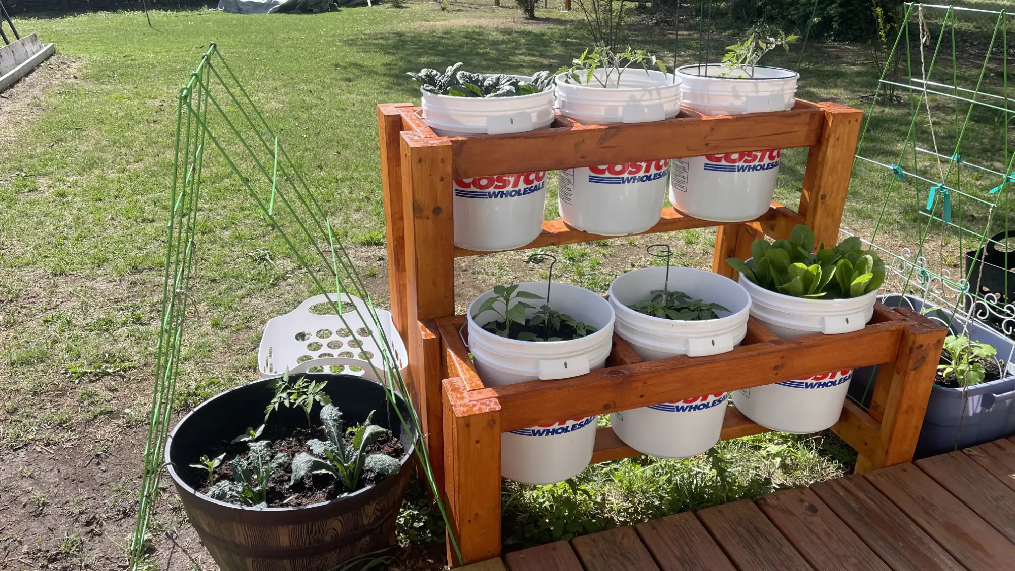 5 Gallon Bucket Garden