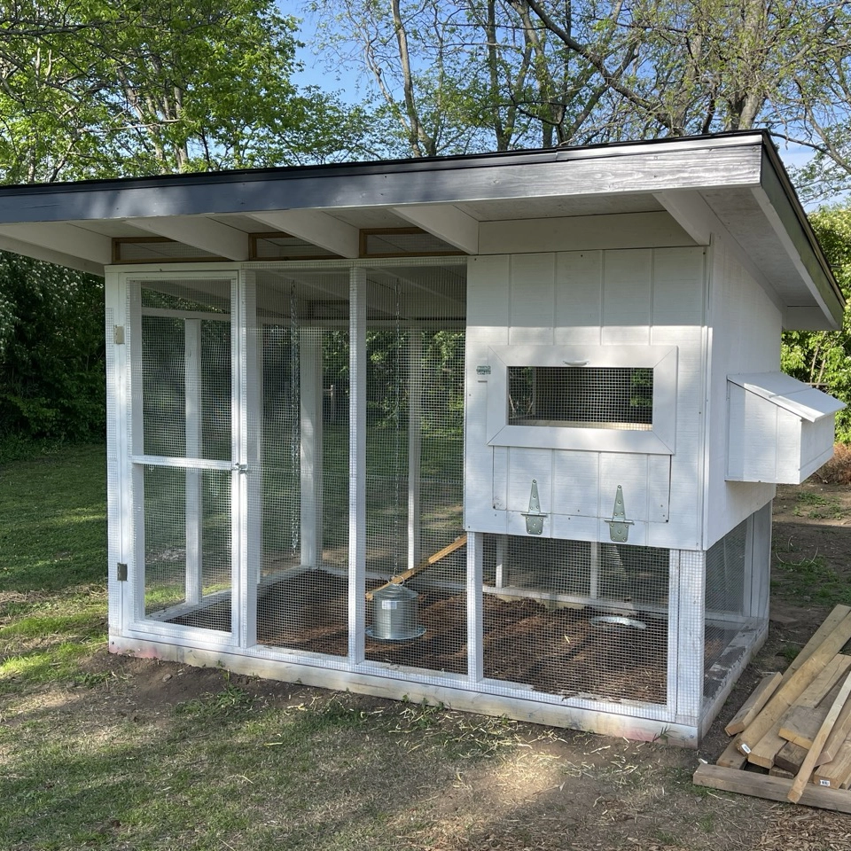 Covered Run Chicken Coop Plans